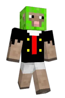 tfops Minecraft avatar full body