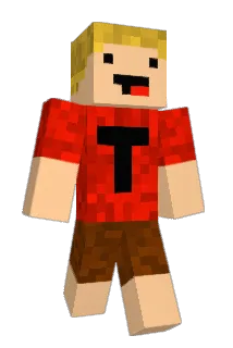 tgm19 Minecraft avatar full body