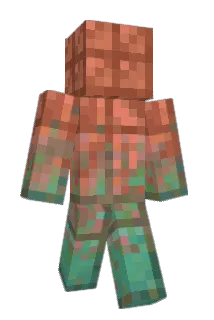 that1braincell Minecraft avatar full body