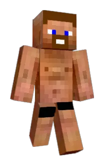 thatool Minecraft avatar full body