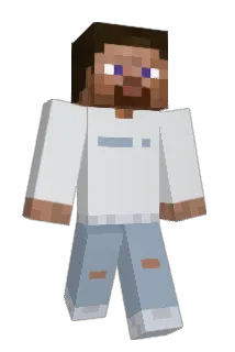 the15thmember13 Minecraft avatar full body