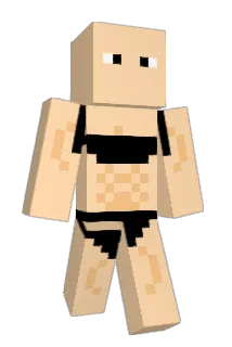 theblocks38 Minecraft avatar full body
