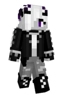 theidiotishere Minecraft avatar full body