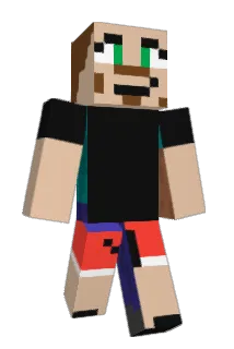 theoldking1134 Minecraft avatar full body