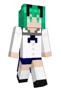 thin_L Minecraft avatar full body