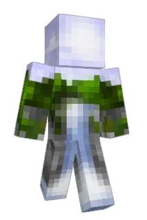 thirdpersoned Minecraft avatar full body