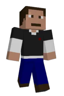 three14 Minecraft avatar full body