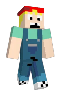 tic4 Minecraft avatar full body