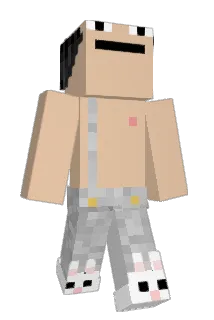 ticanada Minecraft avatar full body