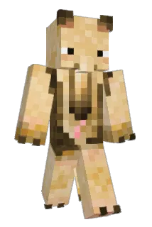 tichilol Minecraft avatar full body
