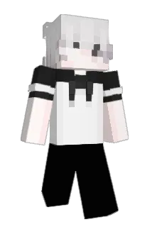 tick7708 Minecraft avatar full body