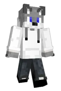 tiddas2 Minecraft avatar full body