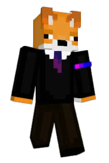 tider_ Minecraft avatar full body