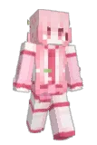 tiktokbrainrot Minecraft avatar full body