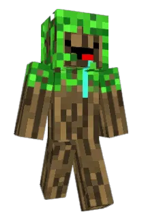 tim1808 Minecraft avatar full body