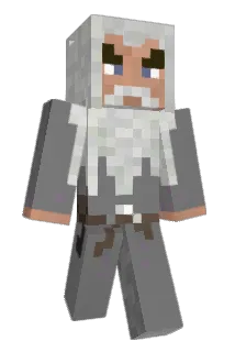 tim4897 Minecraft avatar full body