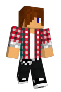 timL1998 Minecraft avatar full body
