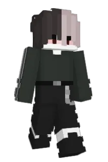 timak_ Minecraft avatar full body