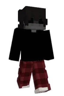 timd Minecraft avatar full body