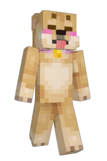 timkiwi Minecraft avatar full body