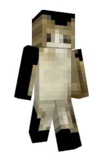 timmaiavesgo Minecraft avatar full body