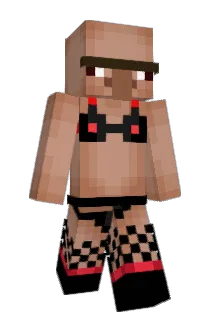 timmiberlin Minecraft avatar full body