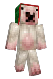 timmy10093649 Minecraft avatar full body