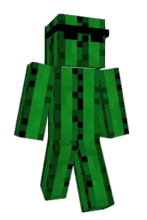 timmy57 Minecraft avatar full body