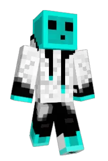 timsky000 Minecraft avatar full body