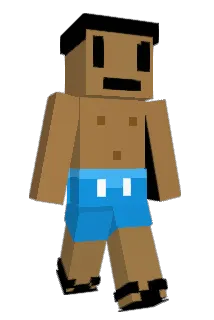 timtamtomtum Minecraft avatar full body