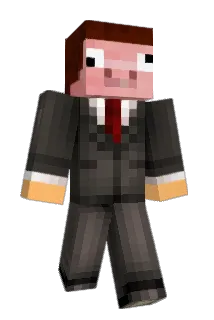 tinboxis Minecraft avatar full body