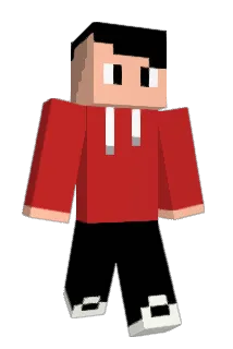 tincanrobo Minecraft avatar full body