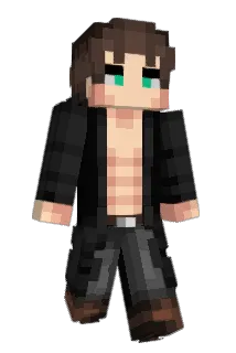 tinet25 Minecraft avatar full body
