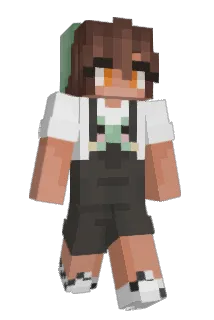 tiniturtle Minecraft avatar full body