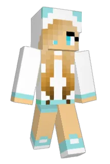 tinker667 Minecraft avatar full body