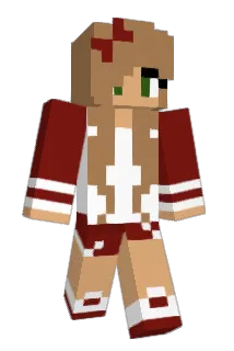 tinkywon Minecraft avatar full body