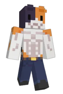 tinplate79 Minecraft avatar full body