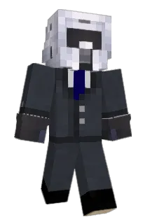 tintindesaratin Minecraft avatar full body