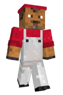 tintsalissu__ Minecraft avatar full body