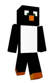 tinyboy9 Minecraft avatar full body