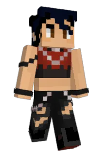 tinytmss Minecraft avatar full body