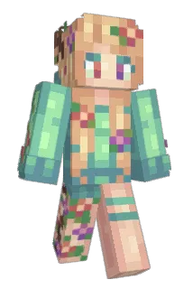 tion5096 Minecraft avatar full body