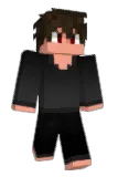 tipaay Minecraft avatar full body