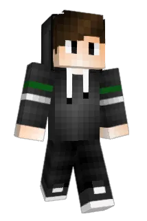 tissu Minecraft avatar full body