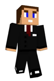 tized Minecraft avatar full body
