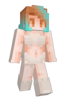 tjandrae Minecraft avatar full body