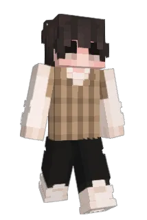 tjd0826 Minecraft avatar full body