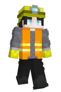 tjwnse Minecraft avatar full body