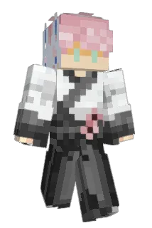 tls143_ Minecraft avatar full body