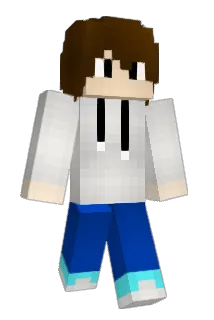 tls8816 Minecraft avatar full body
